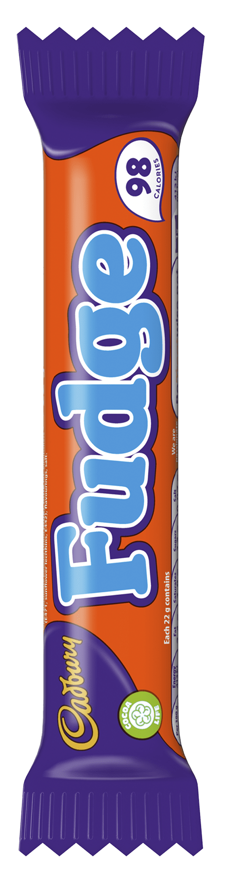 5989363 ECG Cadbury Fudge Single Wrap 22 g Front