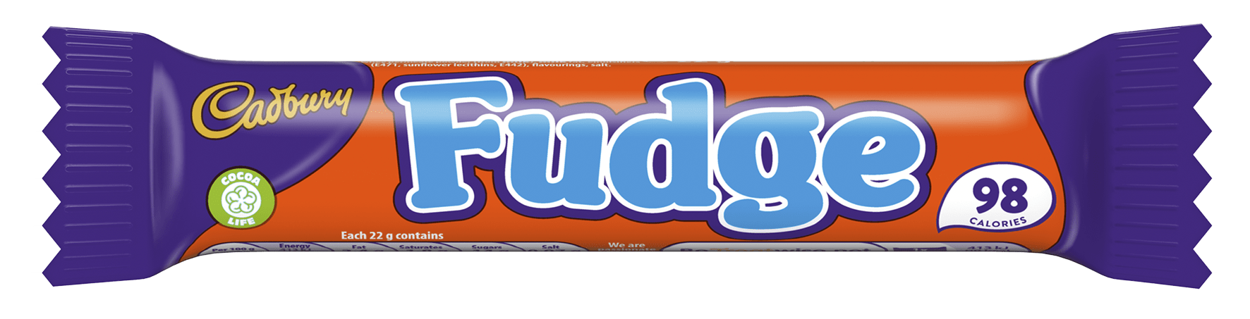 5989363 ECG Cadbury Fudge Single Wrap 22 g Front