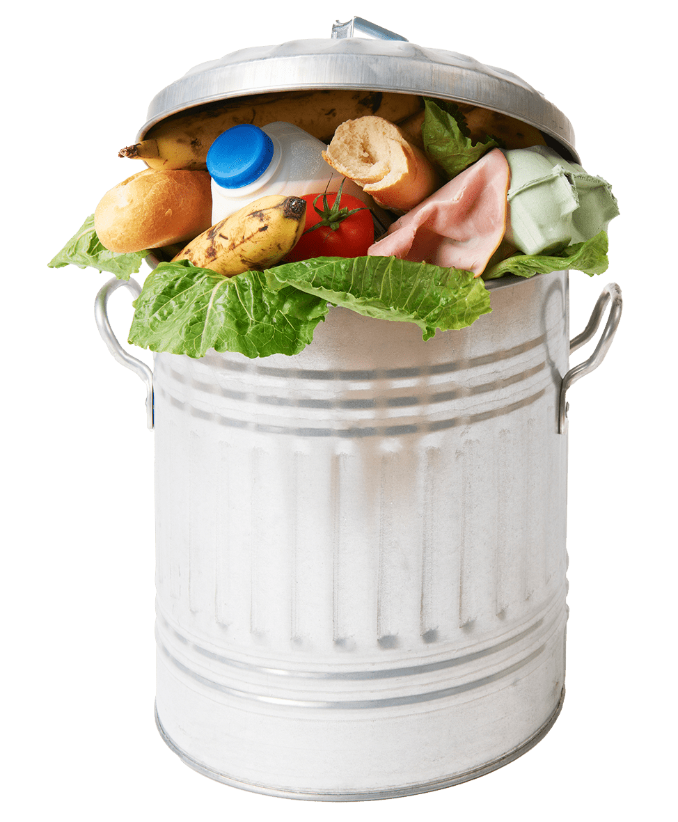 Fresh Food In Garbage Can To Illustrate Waste