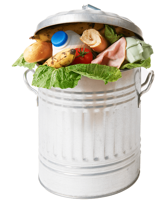 Fresh Food In Garbage Can To Illustrate Waste