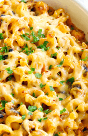Creamy pasta and mushroom bake