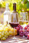 glasses of red and white wine and ripe grapes on table in vineyard at sun day