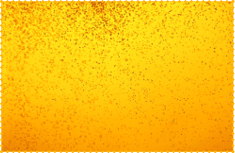 Close up background texture of lager beer with bubbles and froth in glass, low angle side view